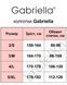 Колготки цветные Gabriella Microfibre 40 den розовый 5